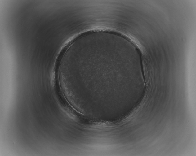 X0000111640488200907171550