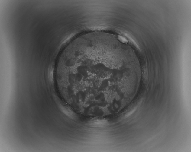 X0000111640491200907171550