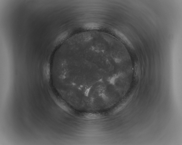 X0000111640494200907171550