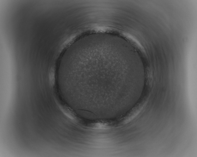 X0000111640496200907171550