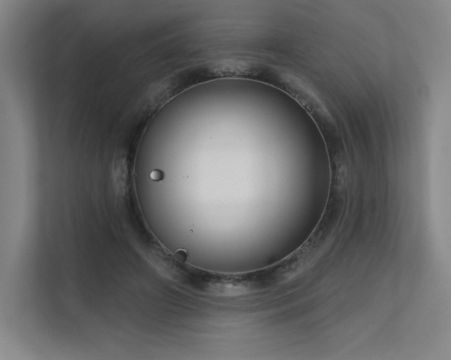 X0000111640498200907171549