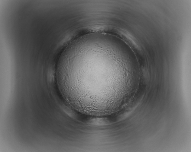 X0000111640499200907171549