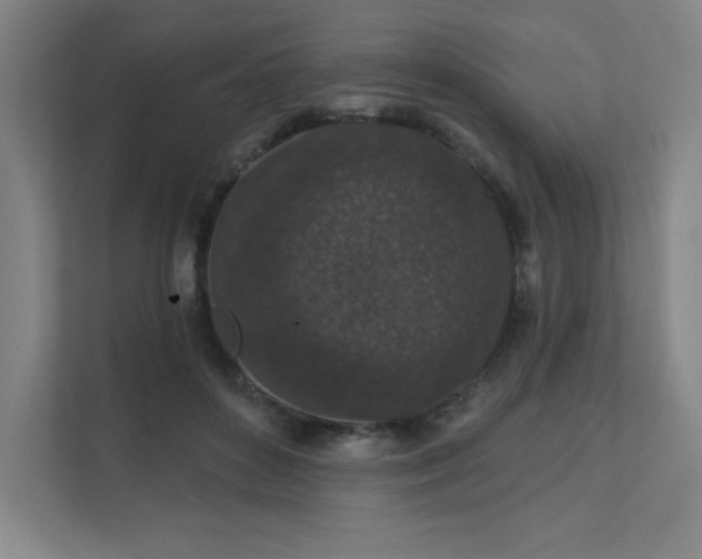 X0000111640504200907171549