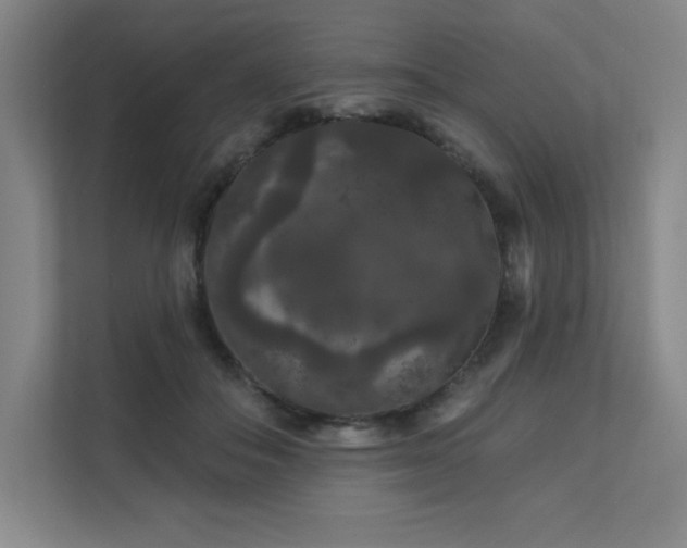 X0000111640506200907171549
