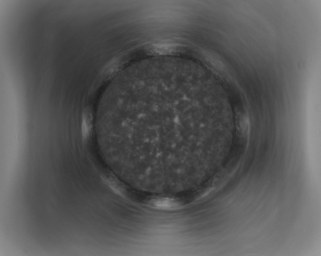 X0000111640507200907171549