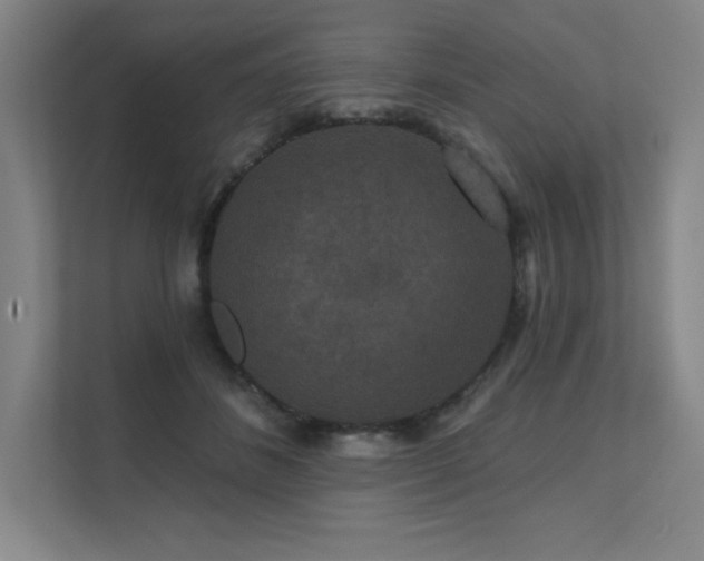 X0000111640508200907171549