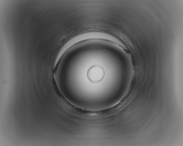 X0000111640509200907171549
