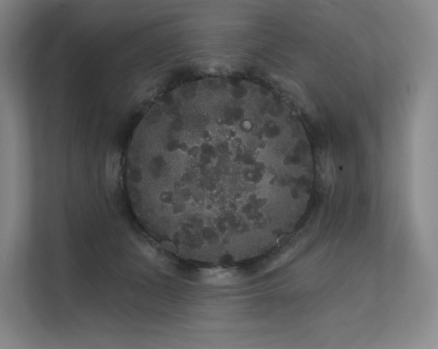 X0000111640511200907171549