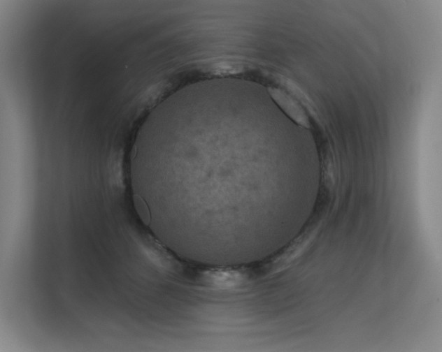 X0000111640512200907171549