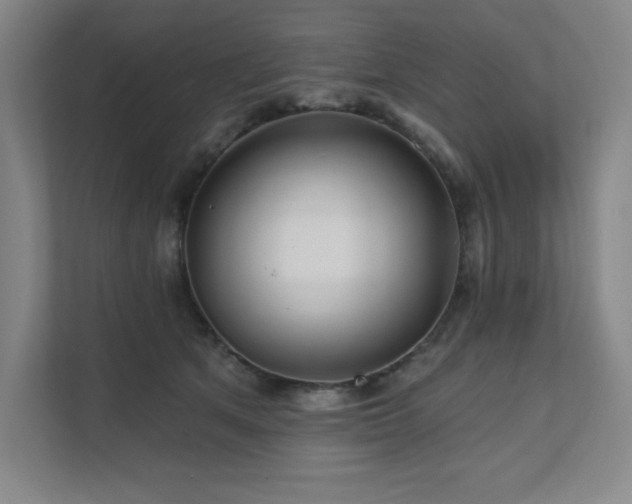 X0000111640513200907171549