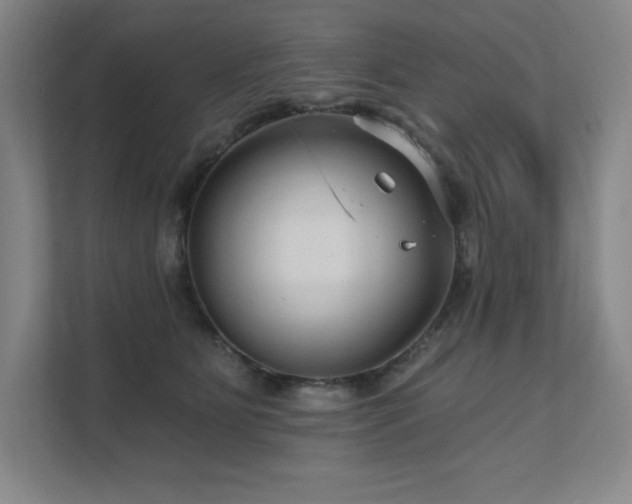 X0000111640515200907171549