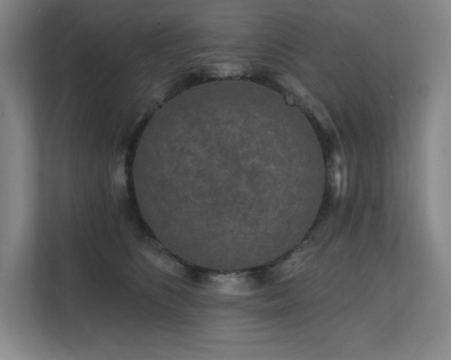 X0000111640516200907171549