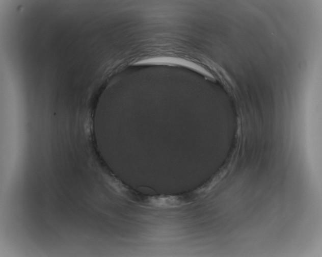 X0000111640517200907171549