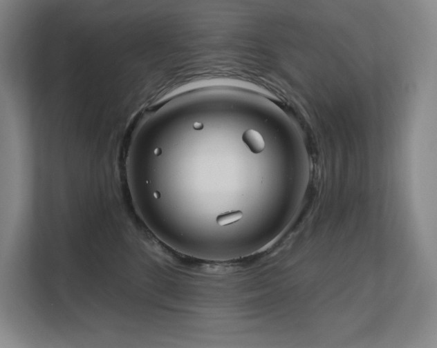 X0000111640520200907171549