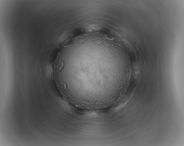 X0000111640523200907171549