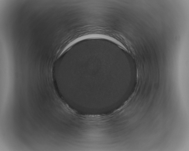 X0000111640524200907171549