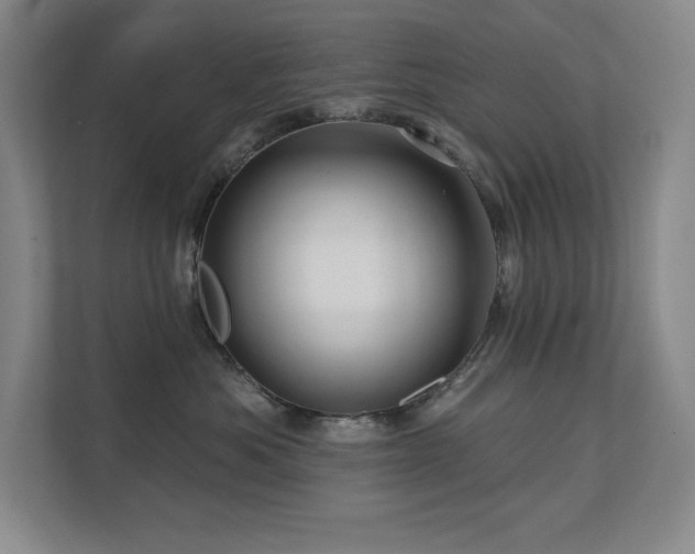 X0000111640525200907171549