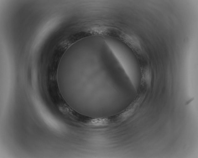X0000111640526200907171549