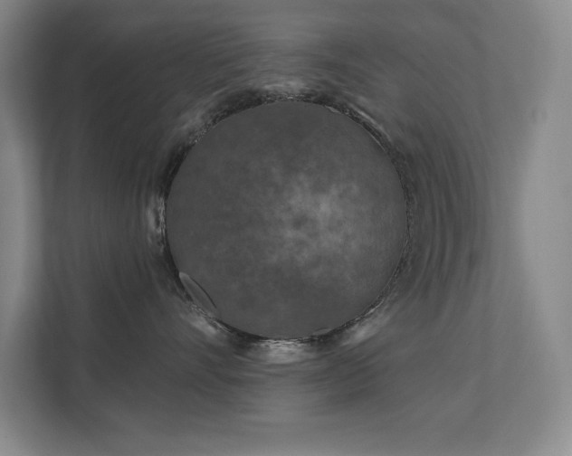 X0000111640528200907171549
