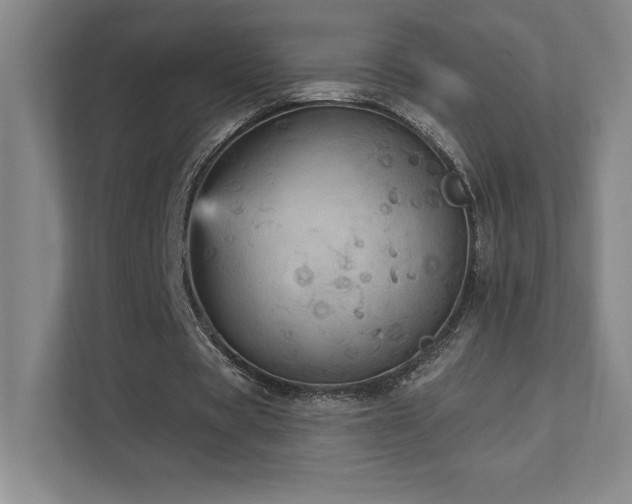 X0000111640529200907171548