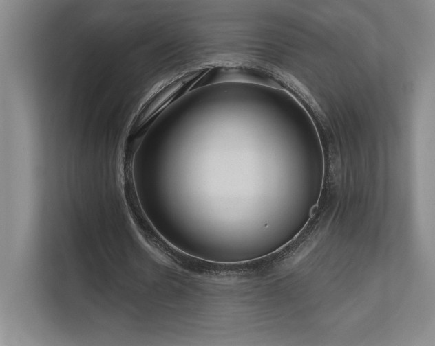 X0000111640530200907171548