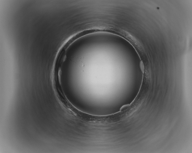 X0000111640532200907171549