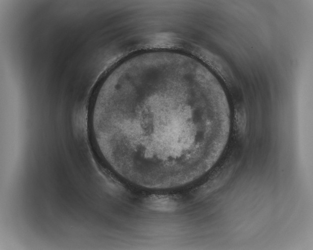 X0000111640534200907171549