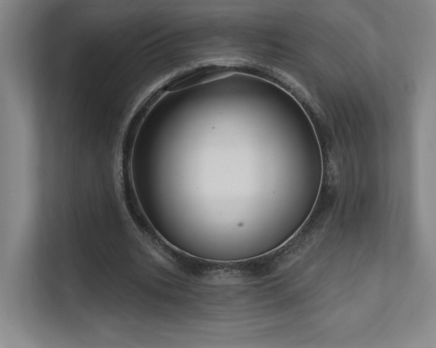 X0000111640535200907171549
