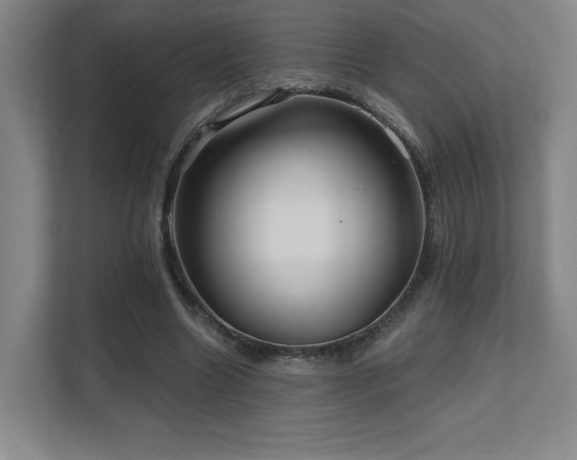 X0000111640538200907171549
