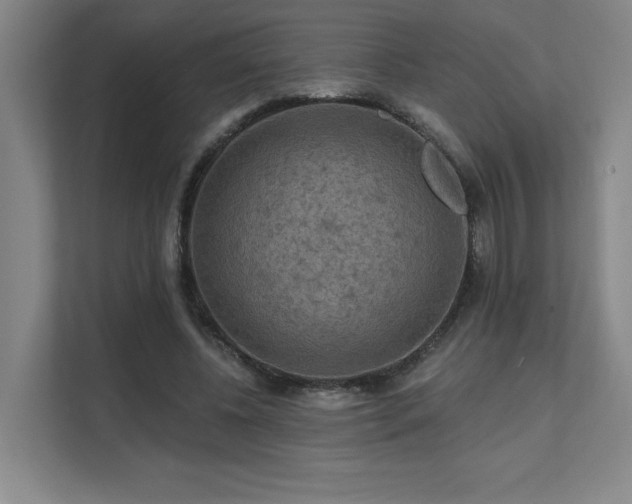 X0000111640540200907171549