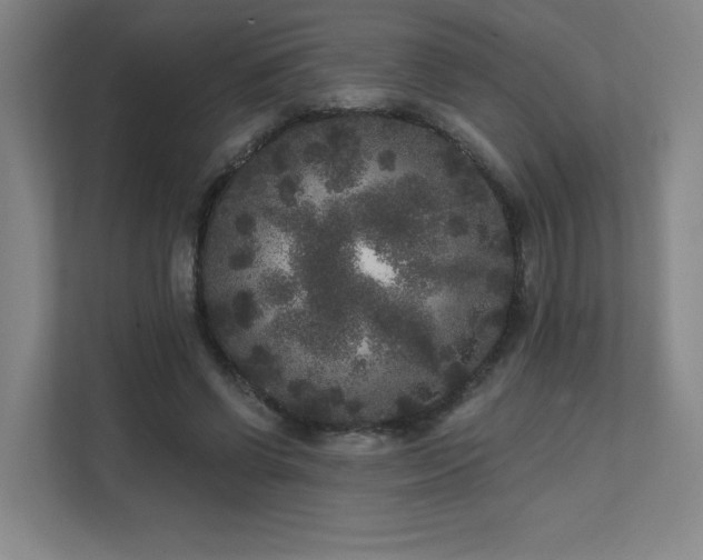 X0000111640542200907171549