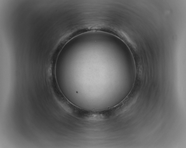 X0000111640543200907171549