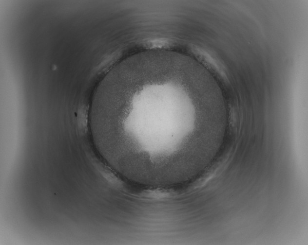 X0000111640545200907171549