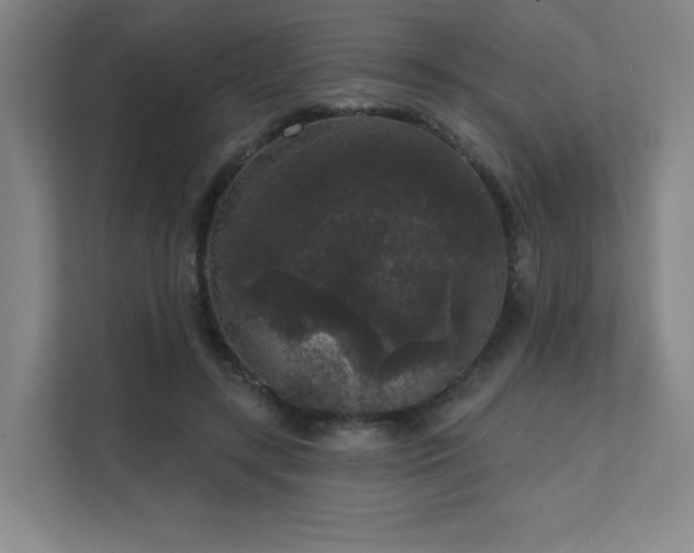 X0000111640547200907171549