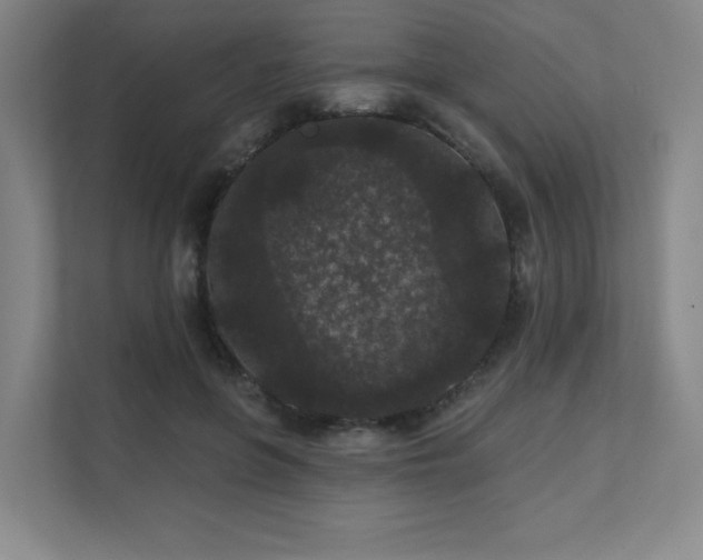 X0000111640551200907171549