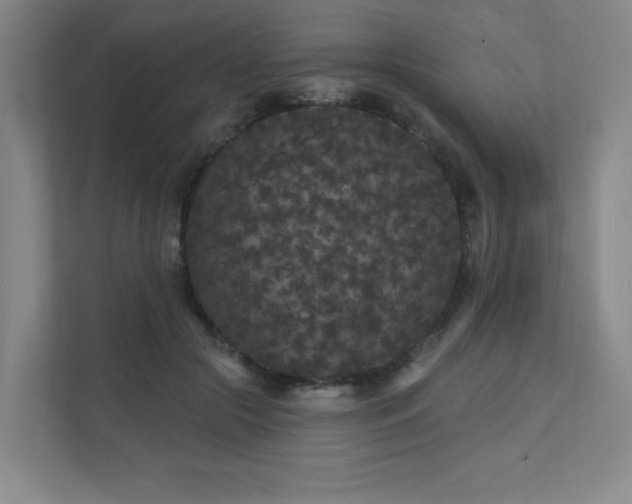 X0000111640553200907171549
