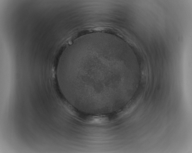 X0000111640555200907171549