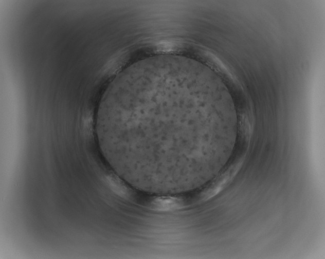 X0000111640557200907171549