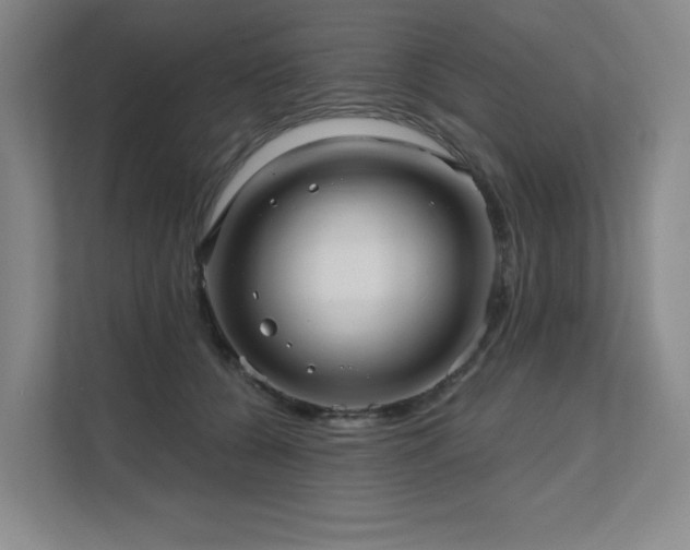 X0000111640560200907171549