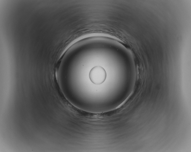 X0000111640562200907171549