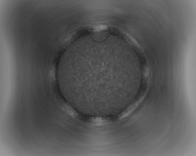 X0000111640565200907171549