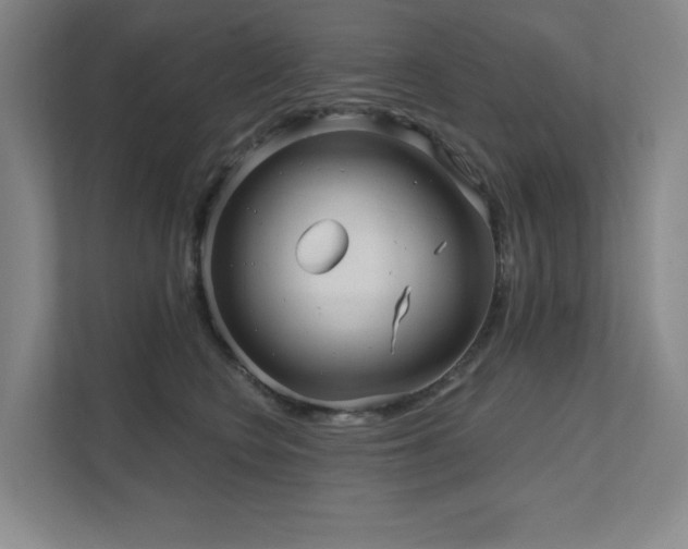 X0000111640566200907171549