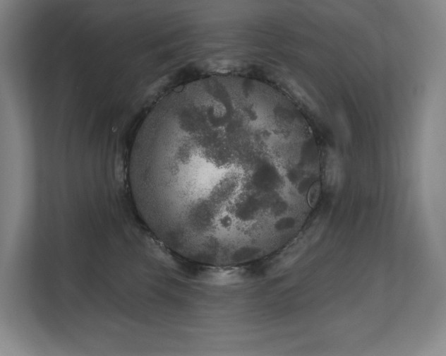 X0000111640569200907171549