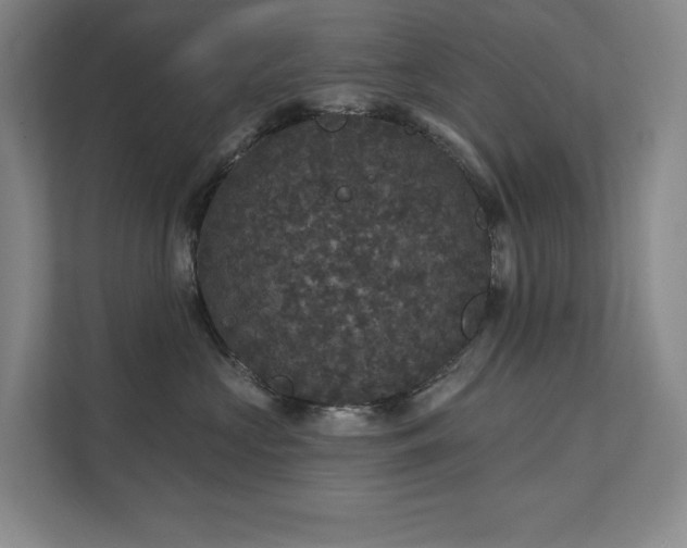 X0000111640573200907171549