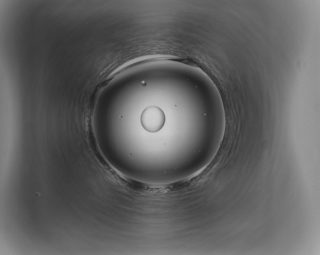 X0000111640576200907171549