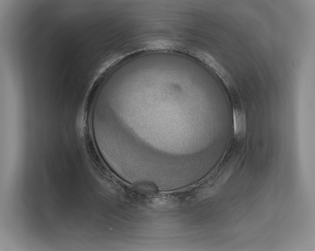 X0000111640579200907171548