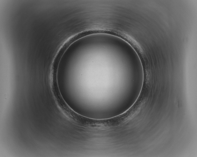 X0000111640580200907171548
