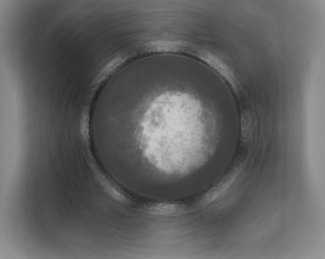 X0000111640581200907171548