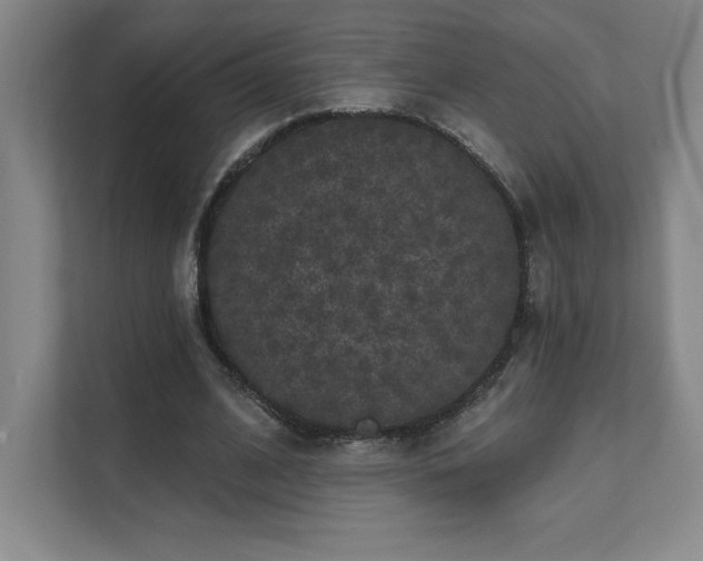 X0000111640584200907171548