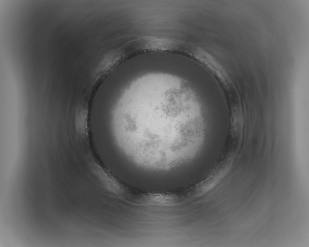 X0000111640585200907171548